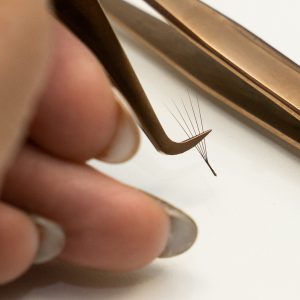 MASTERCLASS MOKYMAI online blakstienų meistrams