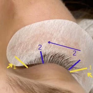 express blakstienų priauginimas